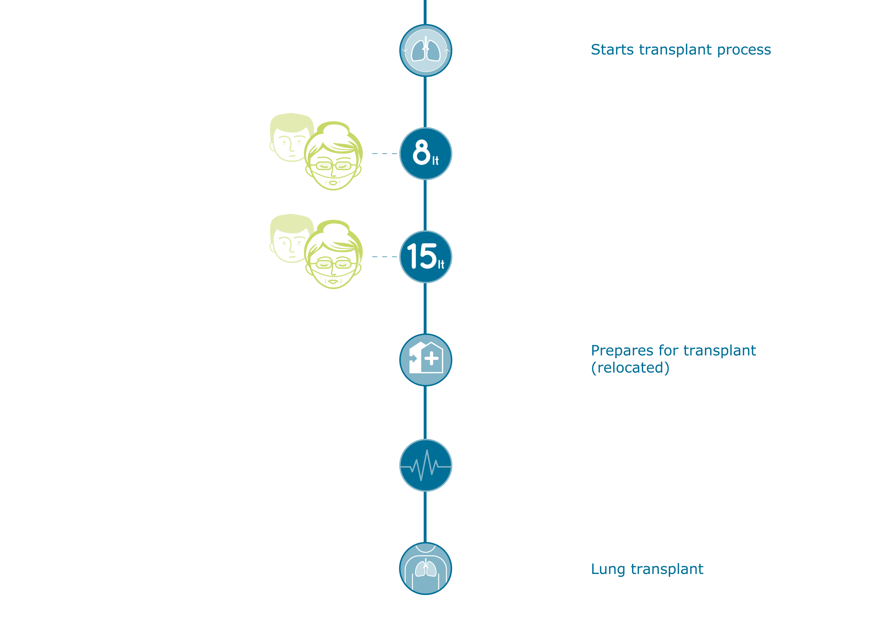 ipf_timeline_transplantprocessslice_stage_12.png