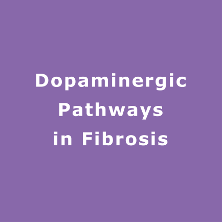 dopaminergic-pathways-fibrosis.png