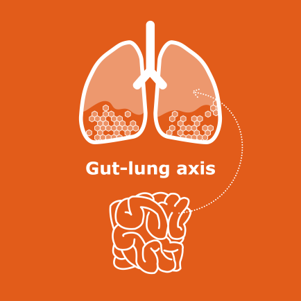 news-gut-lung-axis.png