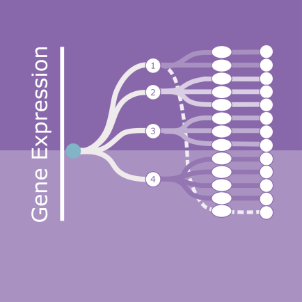 news-ipf-stages-gene-expression.png