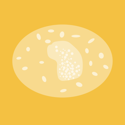 news-monocyte.png